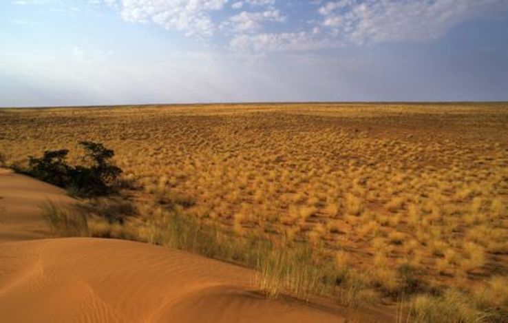 Kgalagadi Transfrontier Park Trip Packages