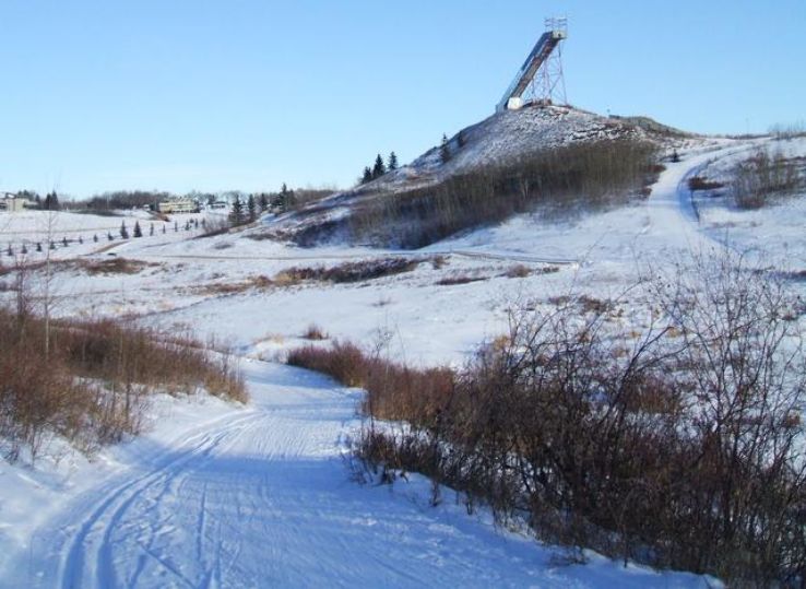 Barrie Trip Packages