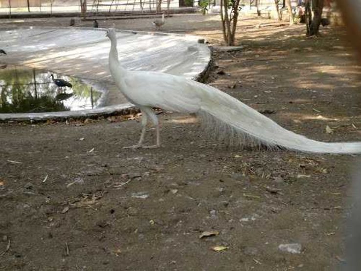 Siddharth Garden  Zoo Trip Packages