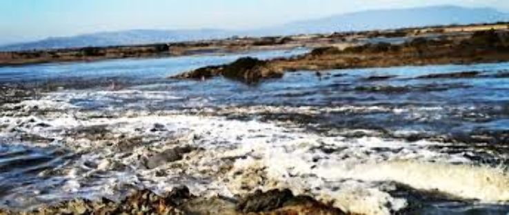 Crockett Trip Packages