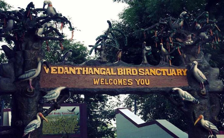 Vedanthangal Bird Sanctuary Trip Packages