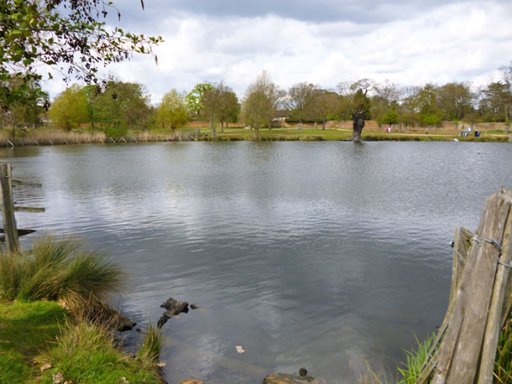 Richmond Park Trip Packages