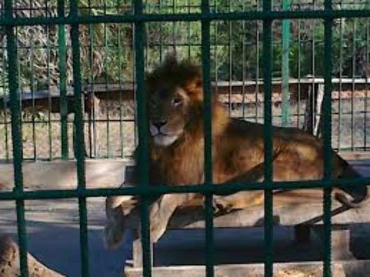 Dar es Salaam Zoo Trip Packages