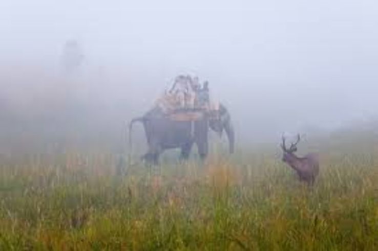 Best 2 Days 1 Night Ramnagar Tour Package Best 2 Days 1 Night Ramnagar Tour Package
