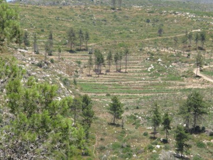 Mount Carmel National Park Trip Packages