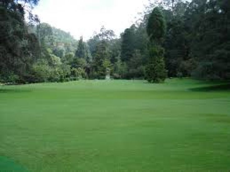 Ooty Golf Course Trip Packages