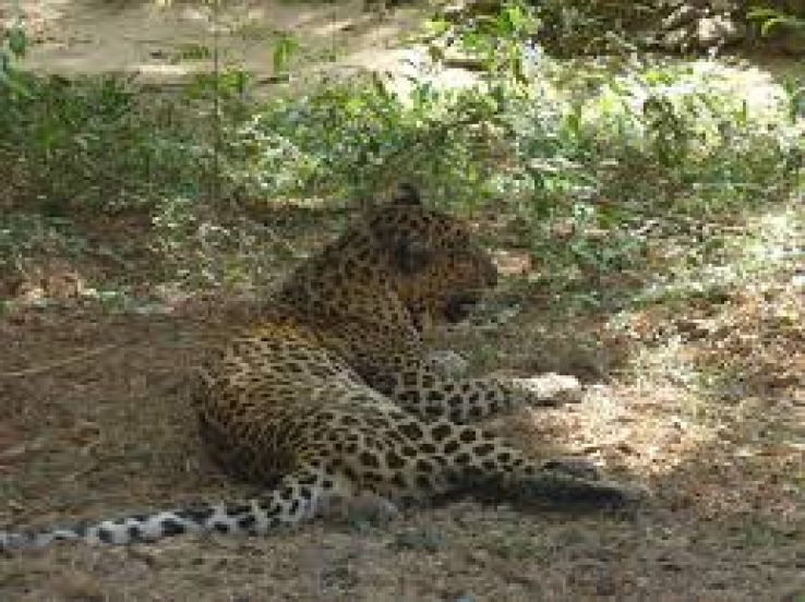 Sanjay Gandhi National Park Trip Packages