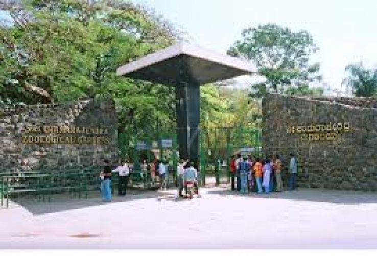 Sri Chamarajendra Zoological Gardens Trip Packages