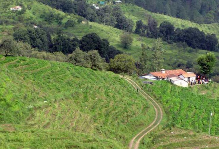Chaubatia Gardens Trip Packages Chaubatia Gardens Trip Packages