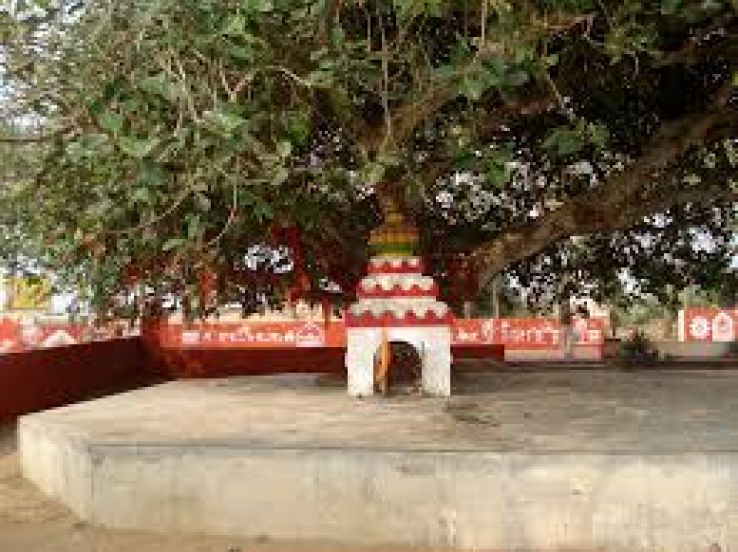 Ramachandi Temple Trip Packages
