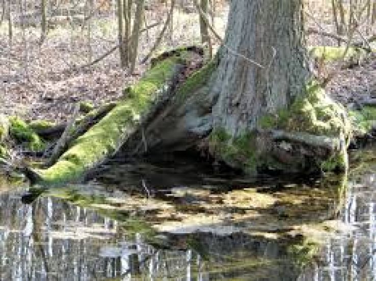 Niebieskie Zrodla Nature Reserve Trip Packages