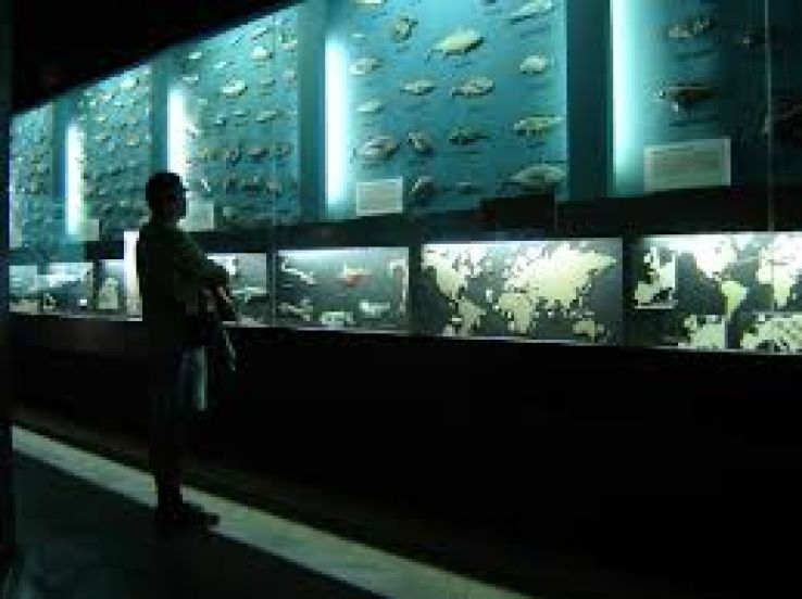 Gdynia Aquarium Trip Packages