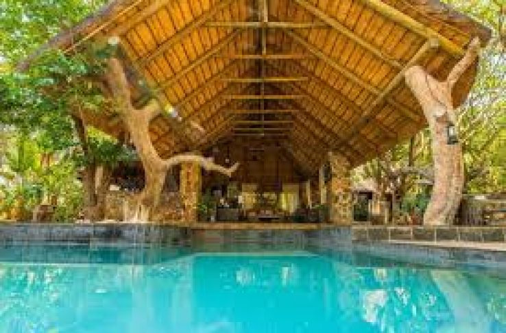 Balule Nature Reserve Trip Packages