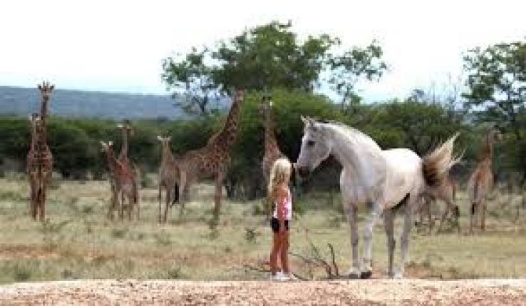 Waterberg Biosphere Trip Packages