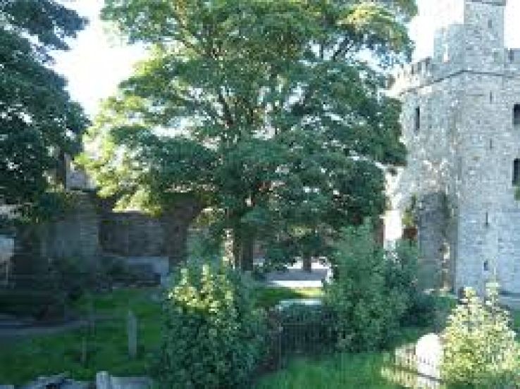 Wexford Trip Packages