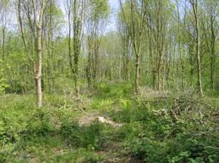 Irish Agricultural Museum Trip Packages