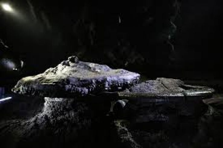 Manjanggul Trip Packages