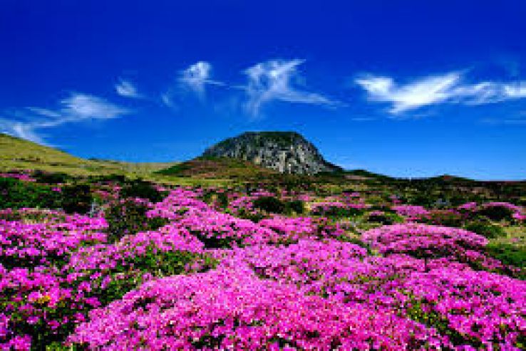 Jeju-Si Trip Packages