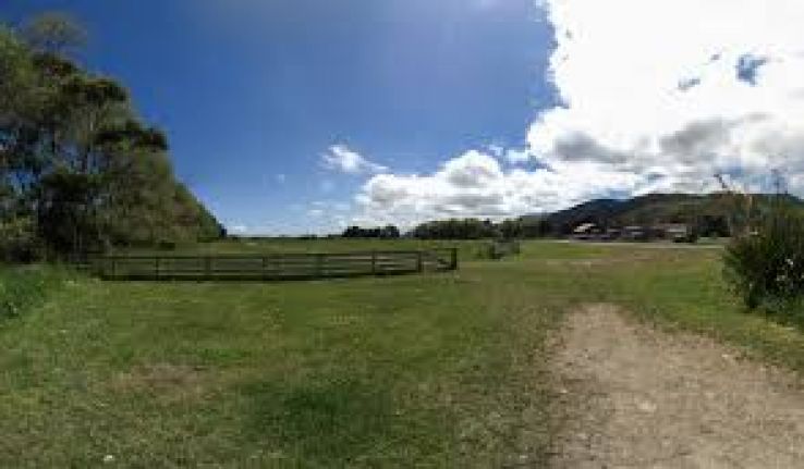 Queen Elizabeth Park Trip Packages