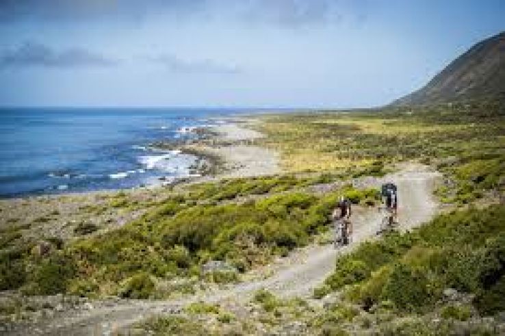 Remutaka Rail Trail Trip Packages