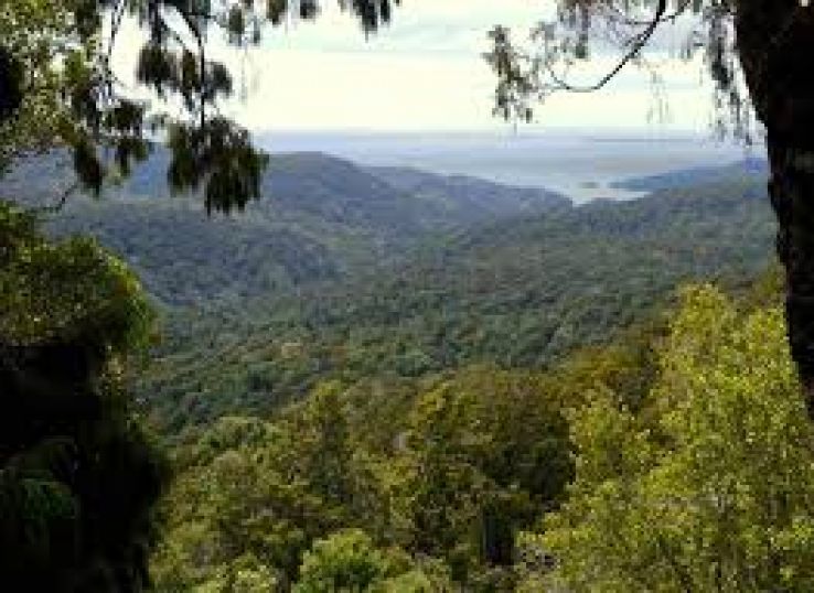 Rakiura Trip Packages