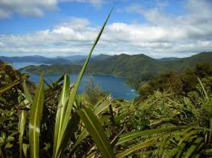 Queen Charlotte Track Trip Packages