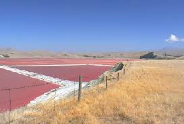 Lake Grassmere Trip Packages