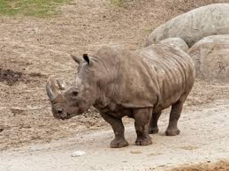 Wildlands Trip Packages