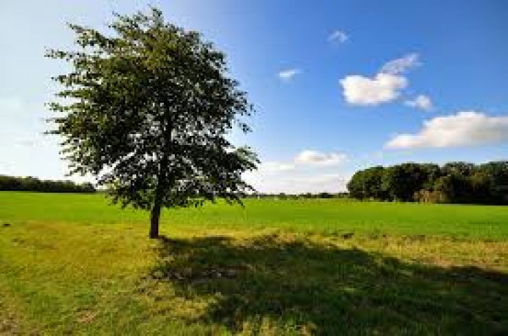 Sallandse Heuvelrug National Park Trip Packages