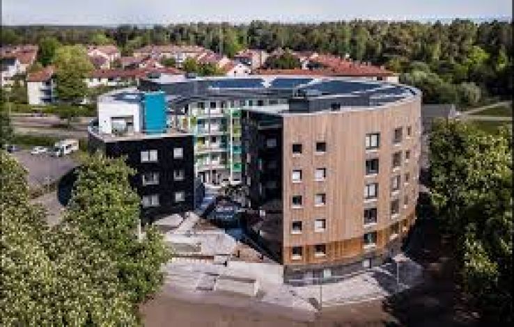 Valla Wood Trip Packages