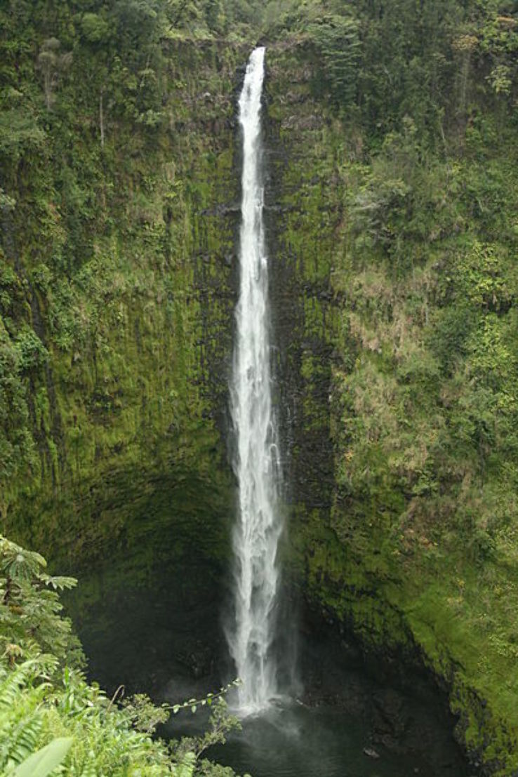 Akaka Falls State Park Trip Packages