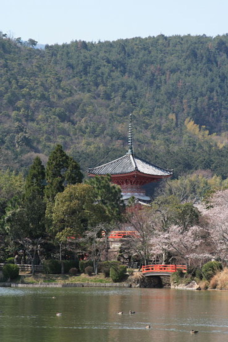 Daikaku-ji Trip Packages