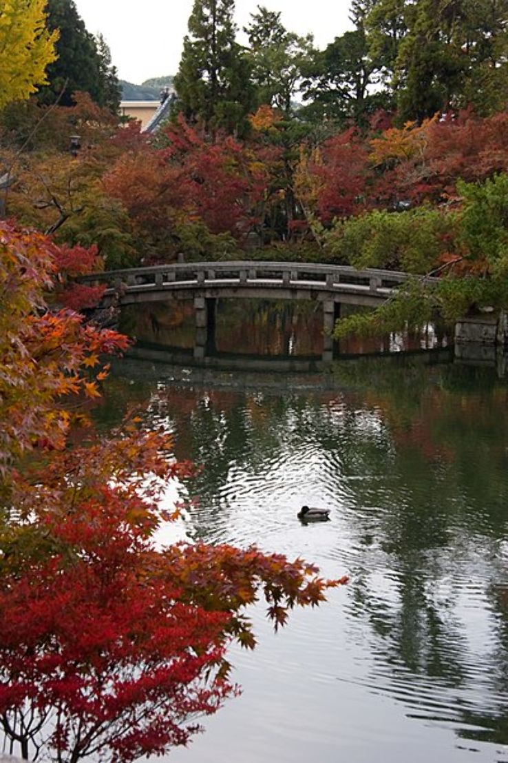 Eikan-do Zenrin-ji Trip Packages