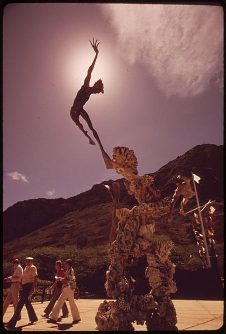 Sea Life Park Hawaii Trip Packages