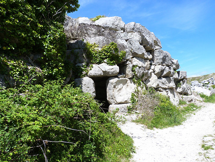 Tout Quarry Sculpture Park and Nature Reserve Trip Packages