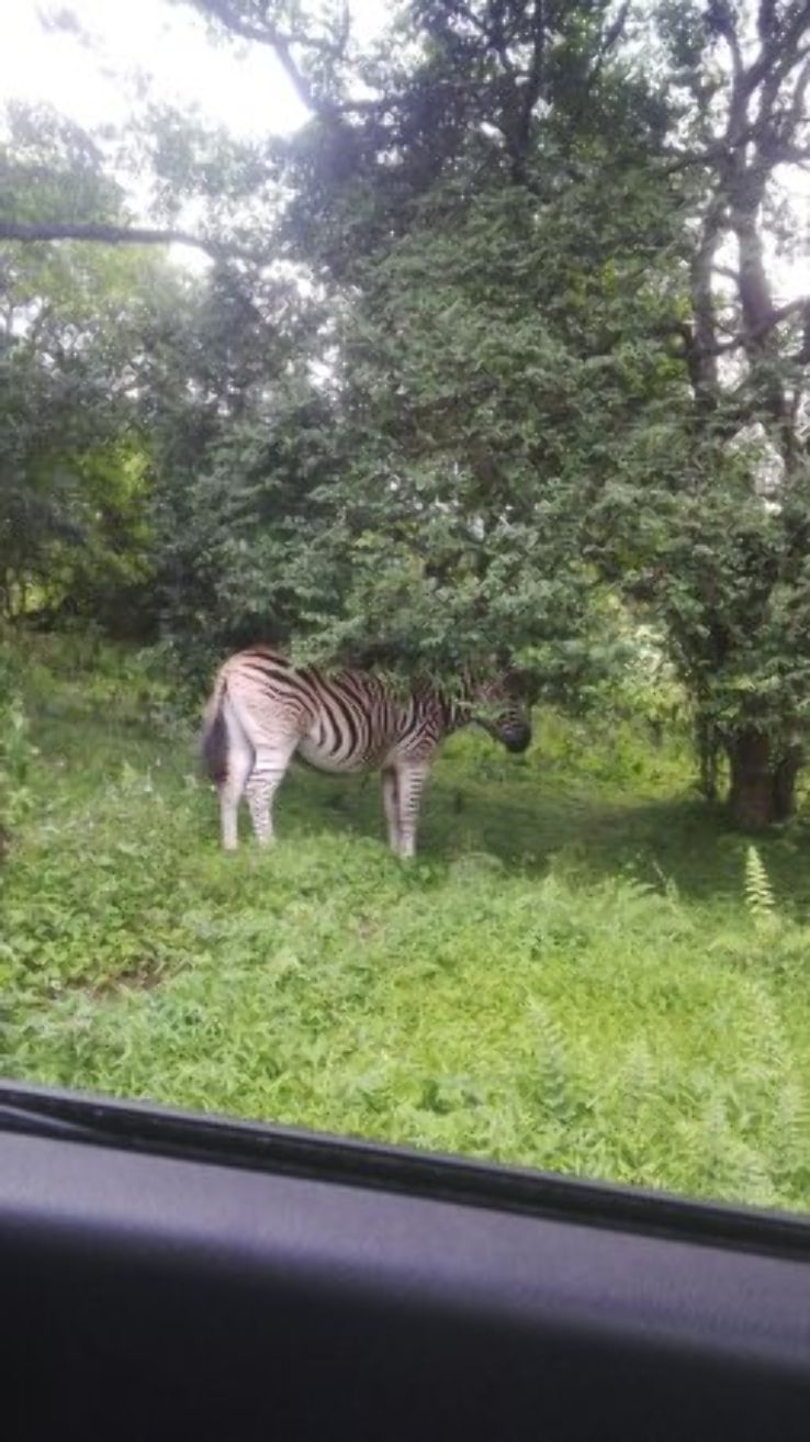 Hilton Trip Packages