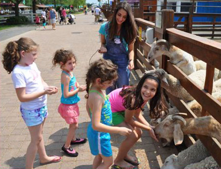 White Post Farm Trip Packages