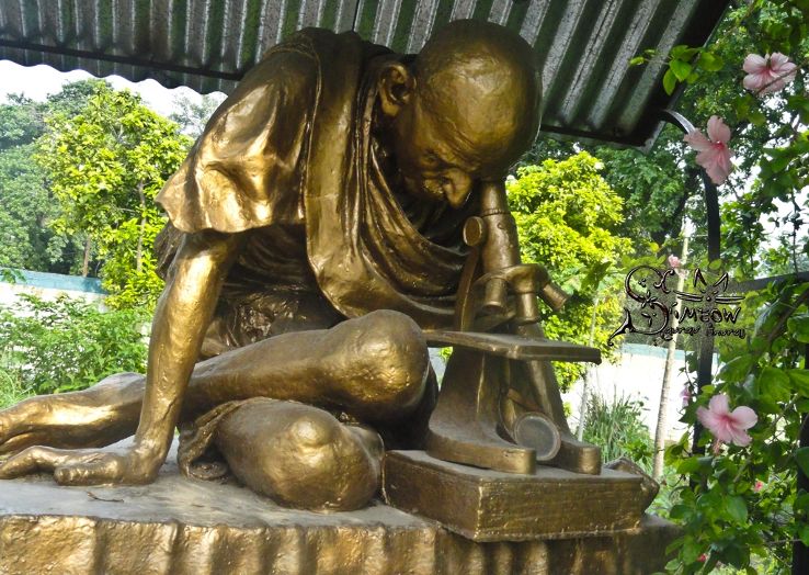Gandhi Museum Trip Packages