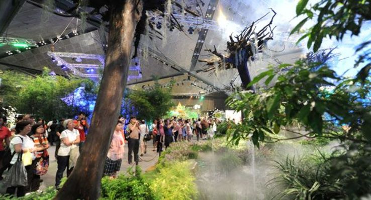 Nyee Phoe Flower Garden Trip Packages