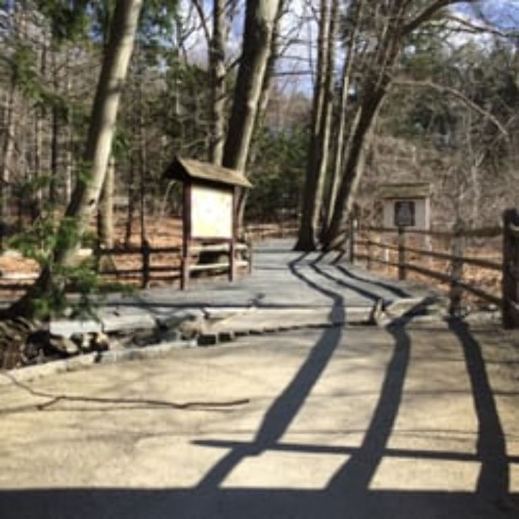 Blue Hills Trailside Museum Trip Packages