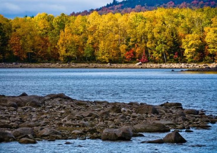 White Mountain National Forest  Trip Packages