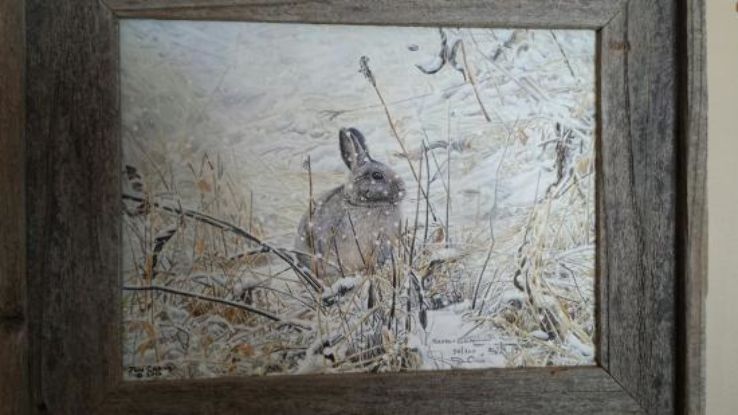 Jon Crane Gallery Trip Packages