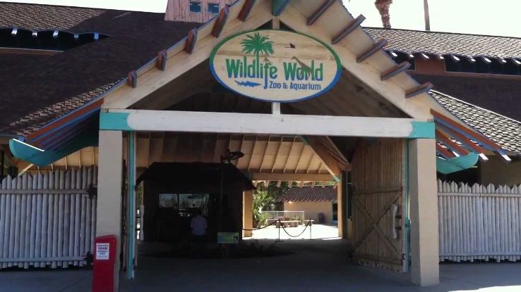 Wildlife World Zoo Litchfield Park Trip Packages