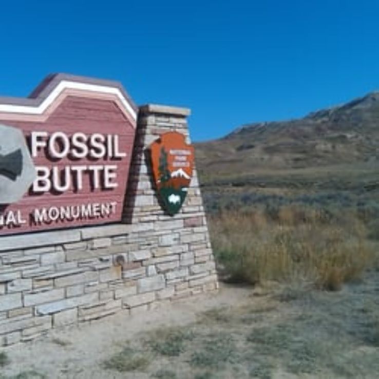 Fossil Butte National Monument 2023, 16 top things to do in wyoming