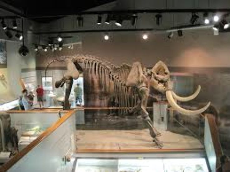 Pink Palace Museum Trip Packages