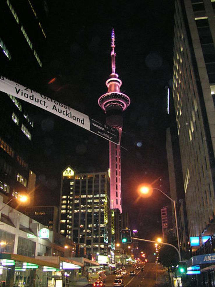 Auckland Sky Tower  Trip Packages