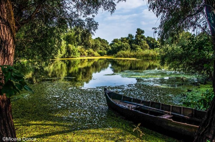 Danube Delta Trip Packages