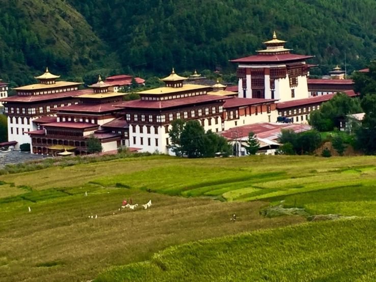 Experience 11 Days 10 Nights Punakha Holiday Package