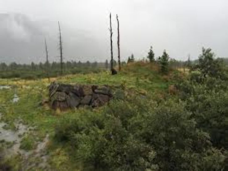 Denali State Park  Trip Packages