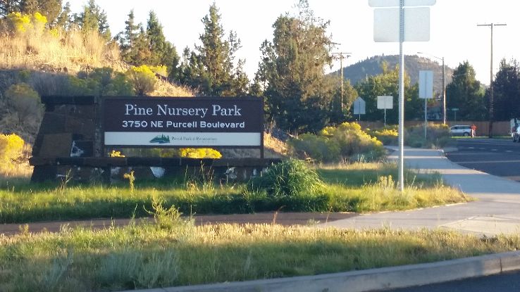 Pine Nursery Park Trip Packages